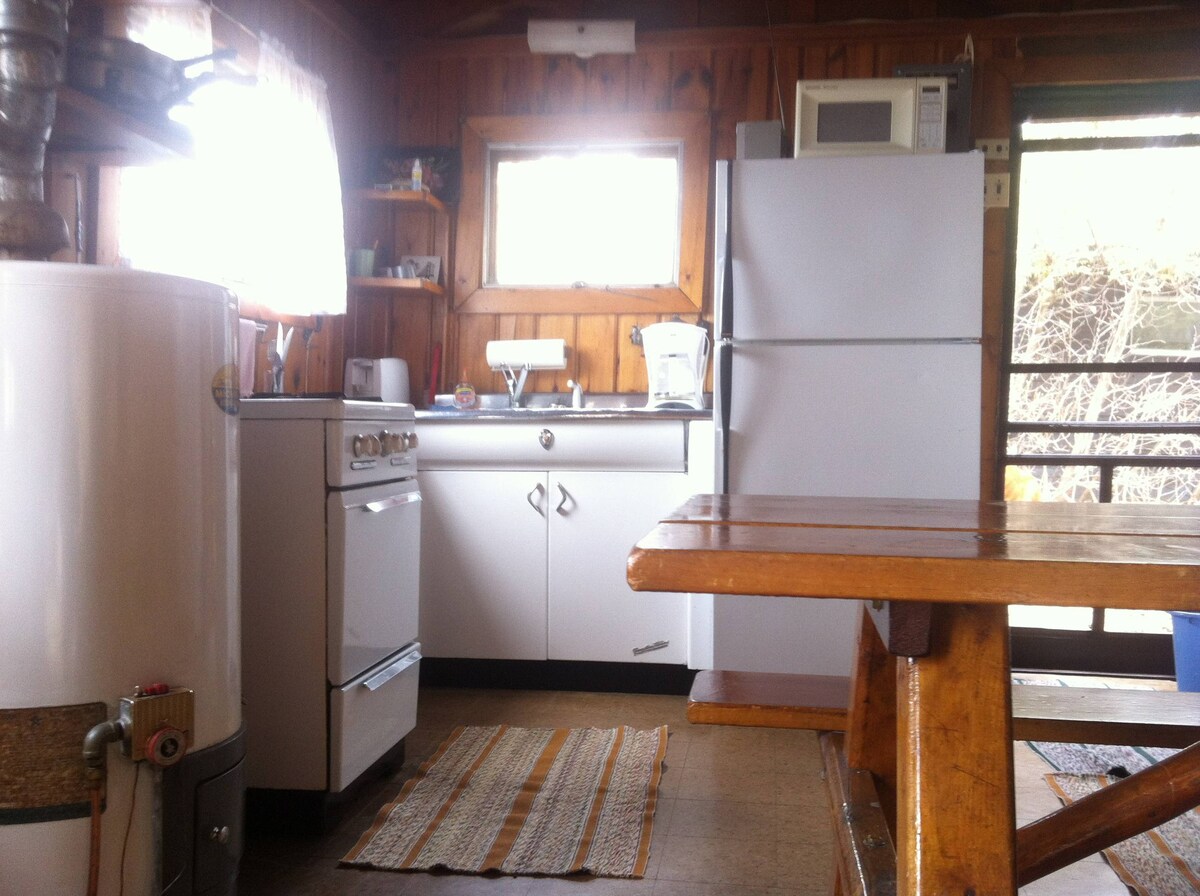 Top 10 Lake Cabin Rentals In Michigan USA Updated 2024 Trip101   39a24368 Original 