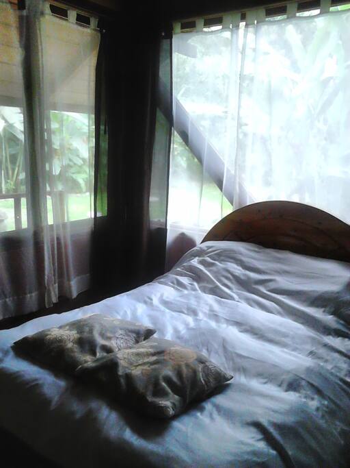 Rooms with large windows