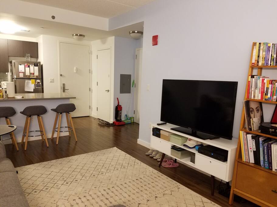 Open kitchen/living room space