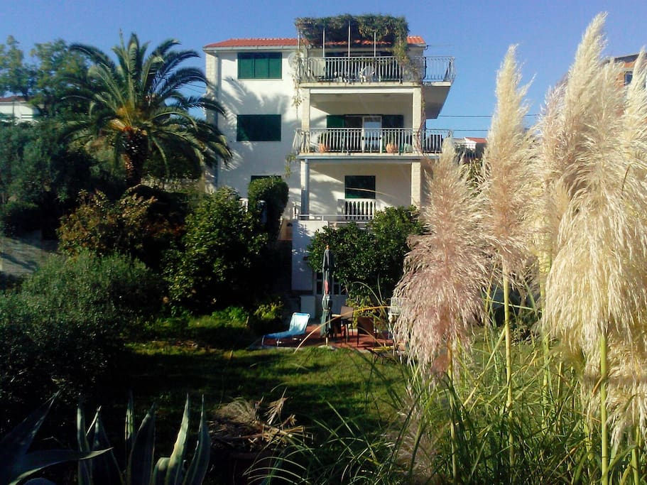 house with surroundings, huge garden around