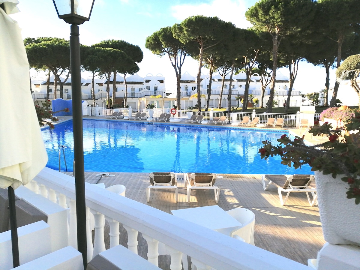 A large outdoor swimming pool is surrounded by sun loungers and neatly arranged parasols. Tall pine trees provide shade on one side, while the pool’s clear blue water reflects the sunny sky. The area is well-maintained and inviting for relaxation.