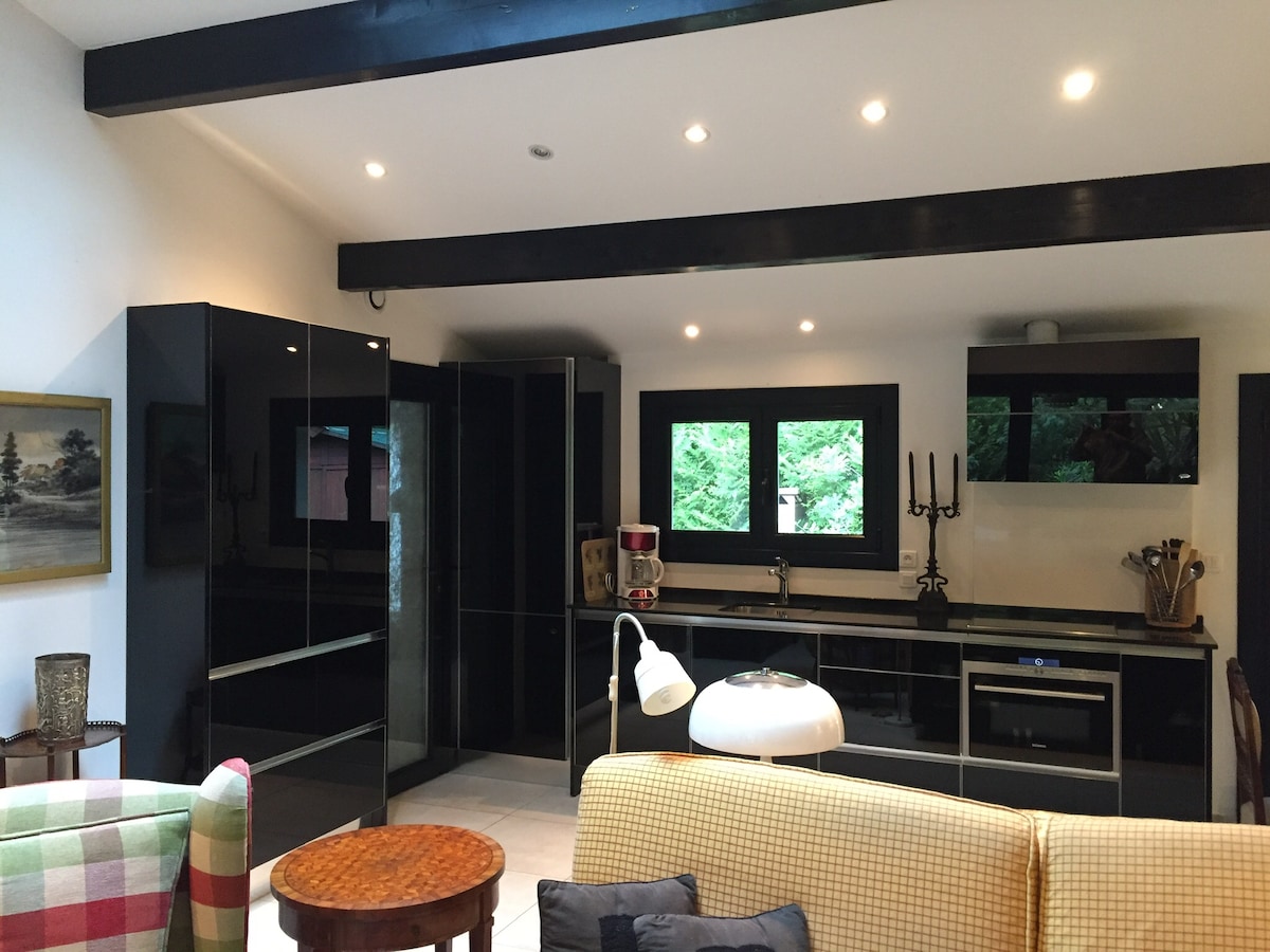 A modern kitchen area is presented, featuring sleek black cabinetry and stainless steel appliances. Large windows provide views of the surrounding greenery. The space is illuminated by recessed lighting, while a cozy seating area with colorful fabric furniture is visible in the foreground.