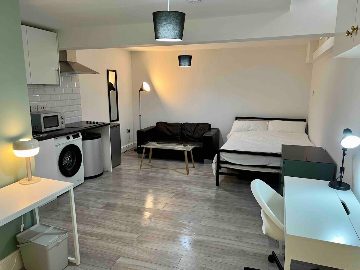 The spacious basement apartment features a seating area with a dark sofa and a coffee table. A compact kitchen area is equipped with stainless steel appliances. A comfortable double bed is visible, and a desk with a lamp is set up for work. Bright ceiling lights illuminate the room.