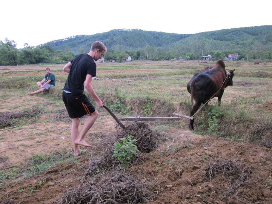 Working on the field