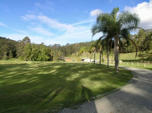 OCT Forest lodge ECO retreat homestead 20 people