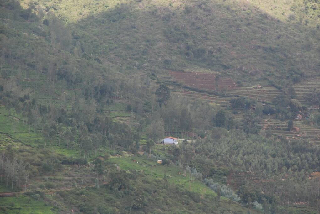 A view of the weighing facility and staff quarters at Nianna Tea Plantation and Organic Farm