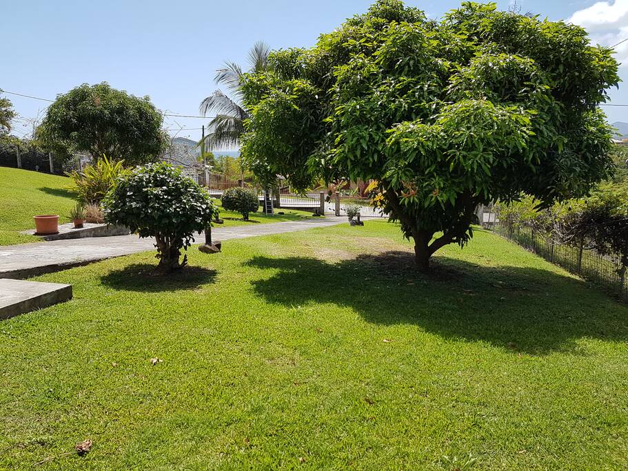 Jardin