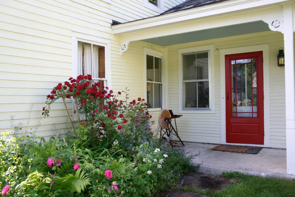 Roses bloom in the summer.