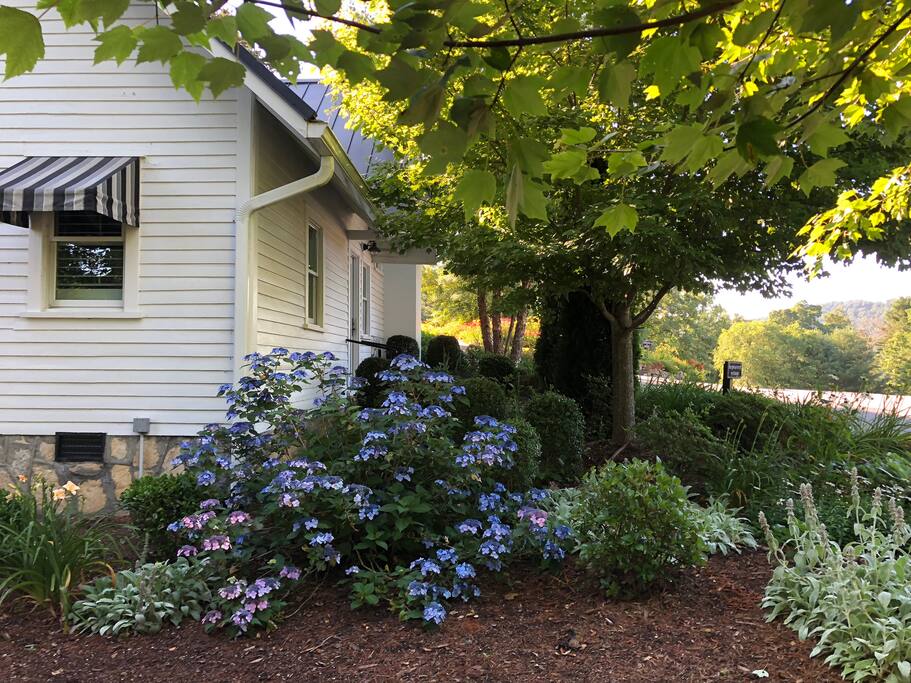 Hopewood Cottage