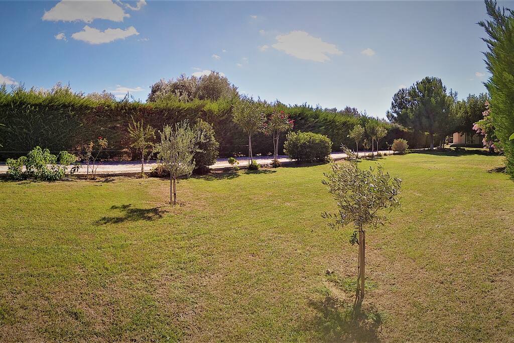 An other view of Garden