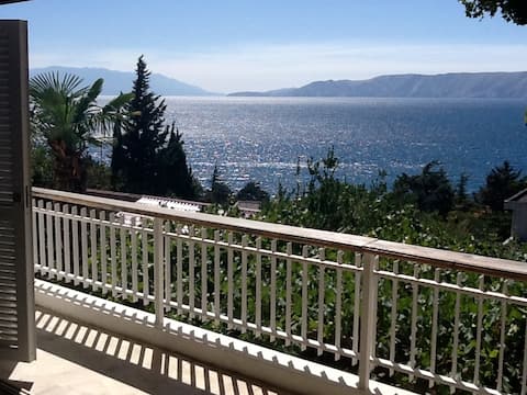 Villa Vaho attractive holiday home-North Adriatic