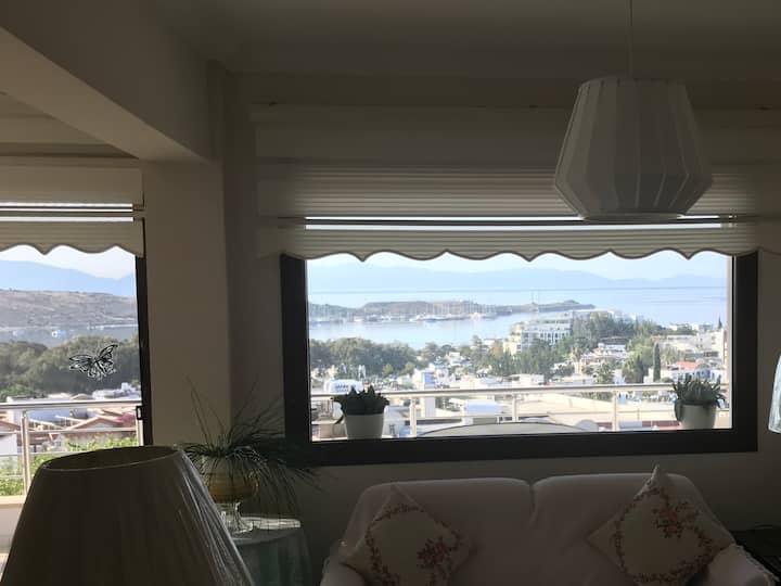 Pull Out Bed /Couch Twin 