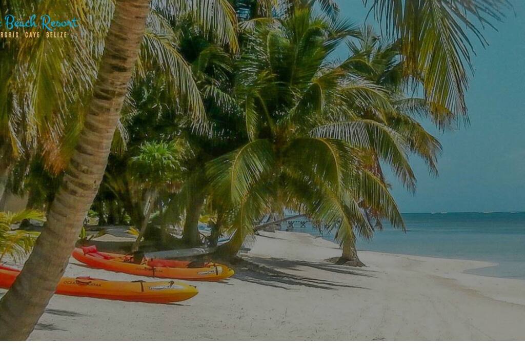 Our beautiful private beach, with free use of kayaks.