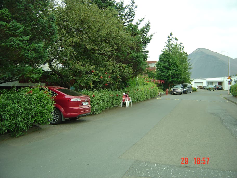 Street view