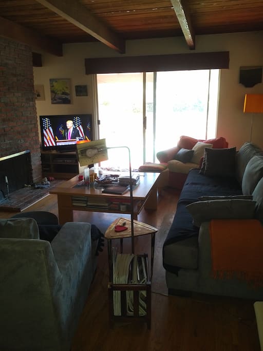 Living Room. Please ignore Mr. T.