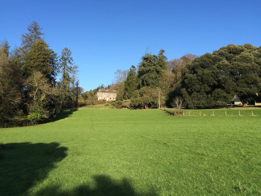View of house from the Lake Field