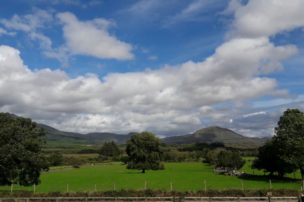View from the livingroom