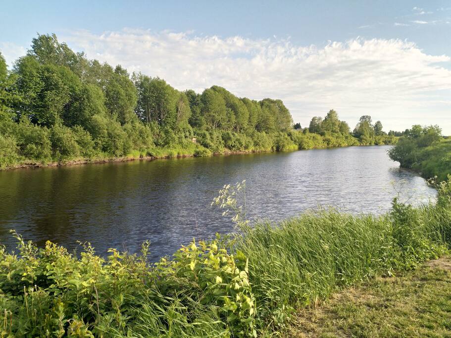 Kyrönjokinäkymä talon puutarhasta