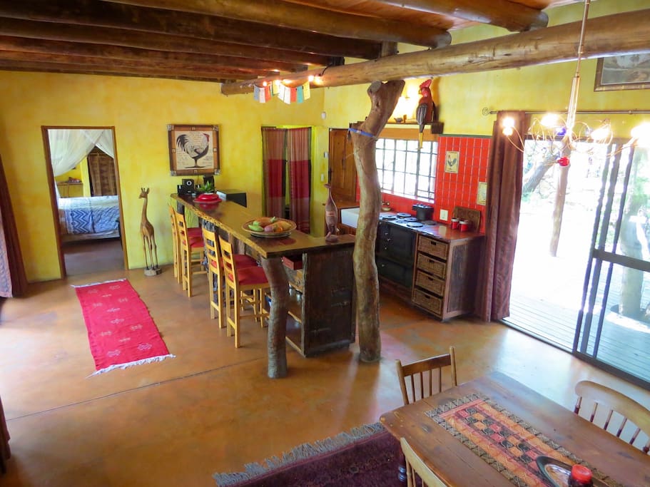 Kitchen and bar