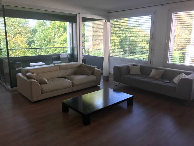 Magnifique appartement lumineux de 150m2 à Vésenaz gallery image 3