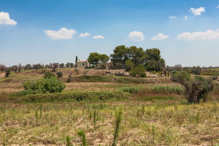 listing_image