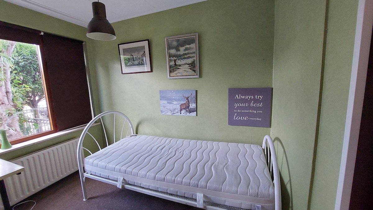 A simple sleeping area features a white metal bed with a clean, unmade mattress. Green walls are complemented by framed artwork and a motivational sign. Natural light filters in through a large window, while dark shades provide contrast.