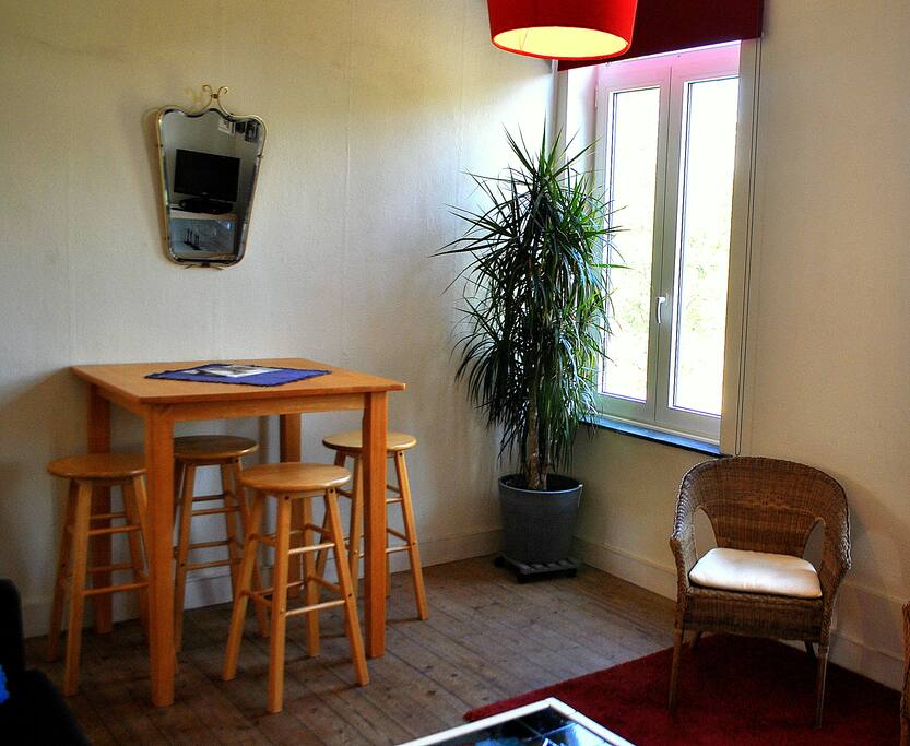 Table in Living Room seats 4