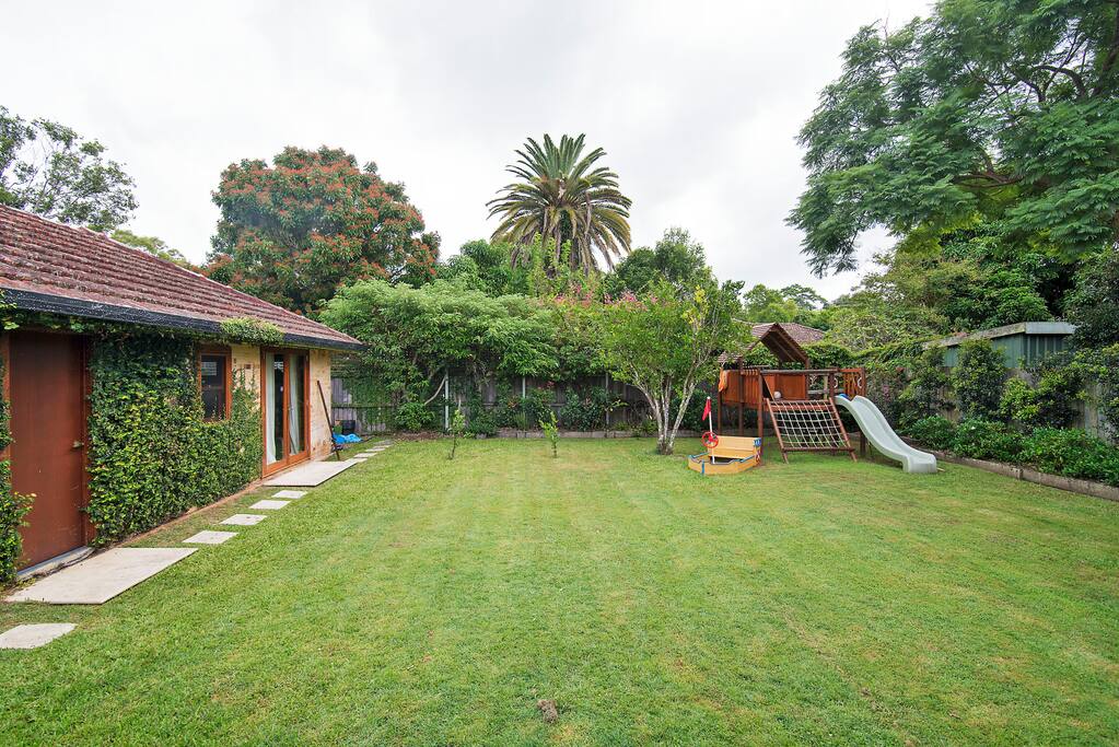 Back yard