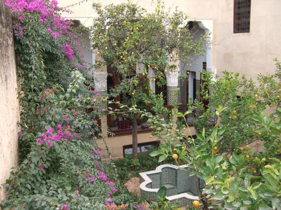 Jardin