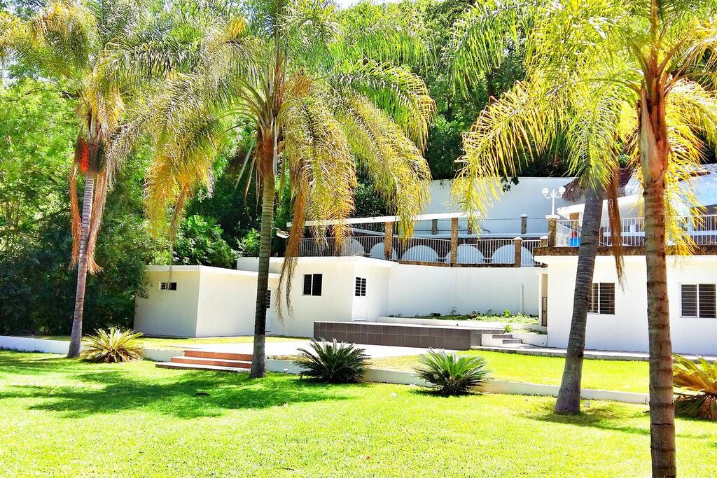 Jardin con Palmeras