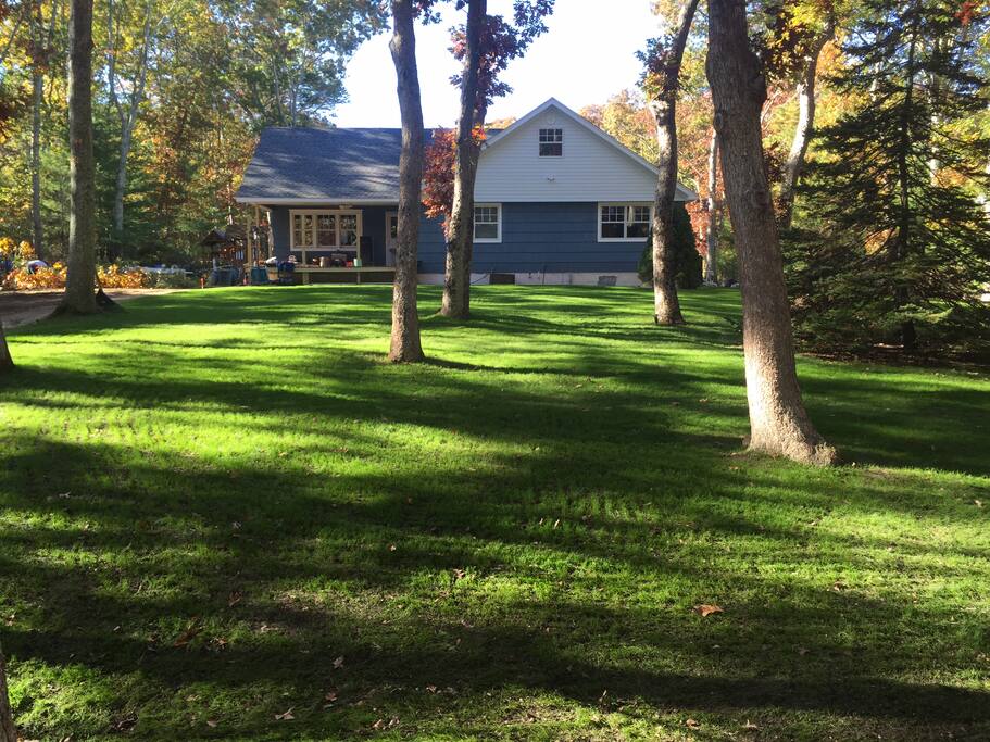 Beautiful front yard