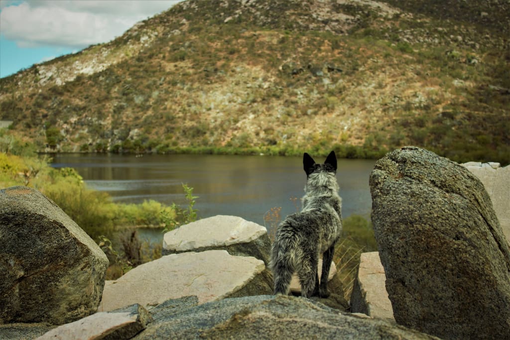 Take Icarus for a walk in the lagoon, just 4 km away!