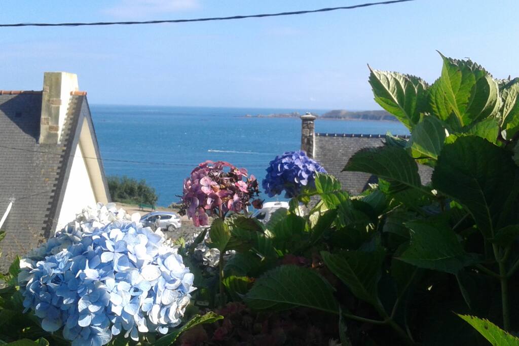 VUE DE L'APPARTEMENT