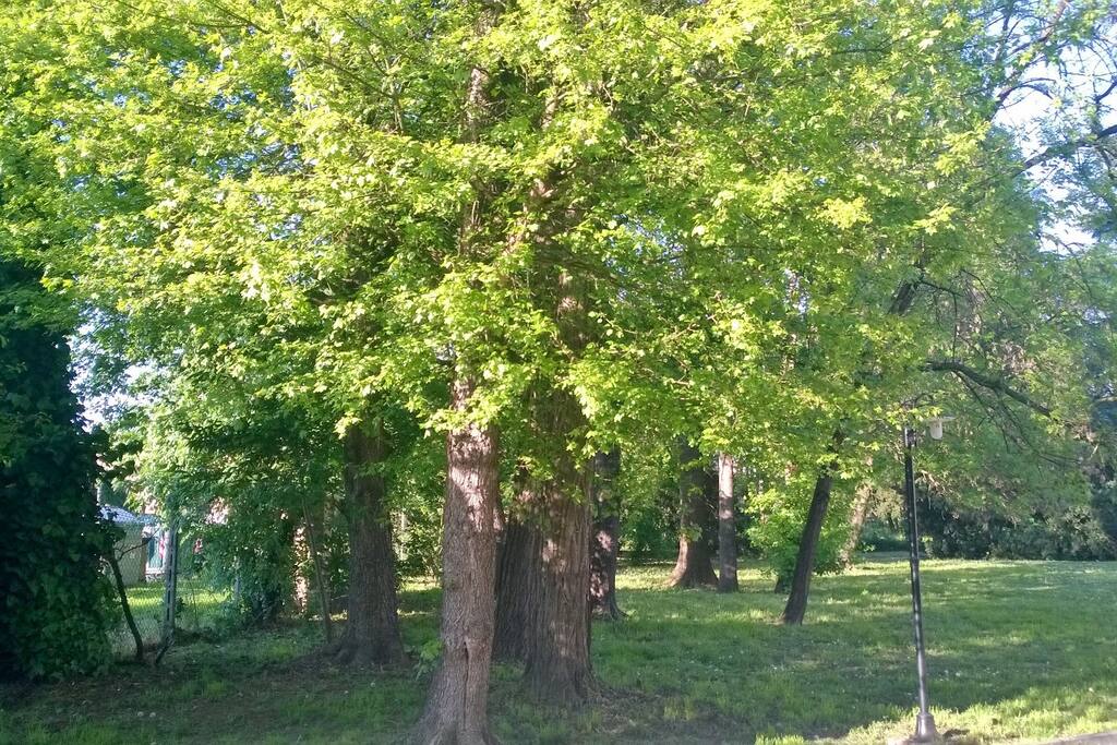 Il parco
