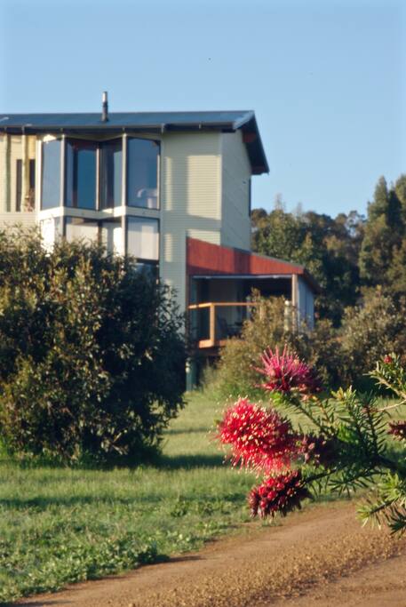 Wildflowers and birds are in abundance.