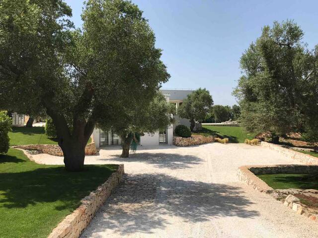 “Il NIDO” SEA VIEW VILLA gallery image 5