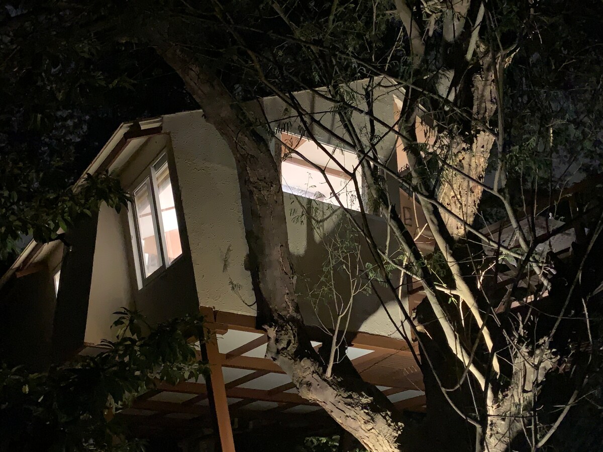 A tree house is illuminated at night, showcasing bright windows that create a warm glow against the dark surroundings. The structure is positioned among thick branches, emphasizing its elevated location and integration with nature.