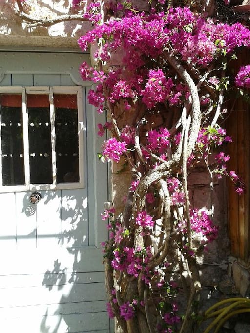 Entrée de la maison