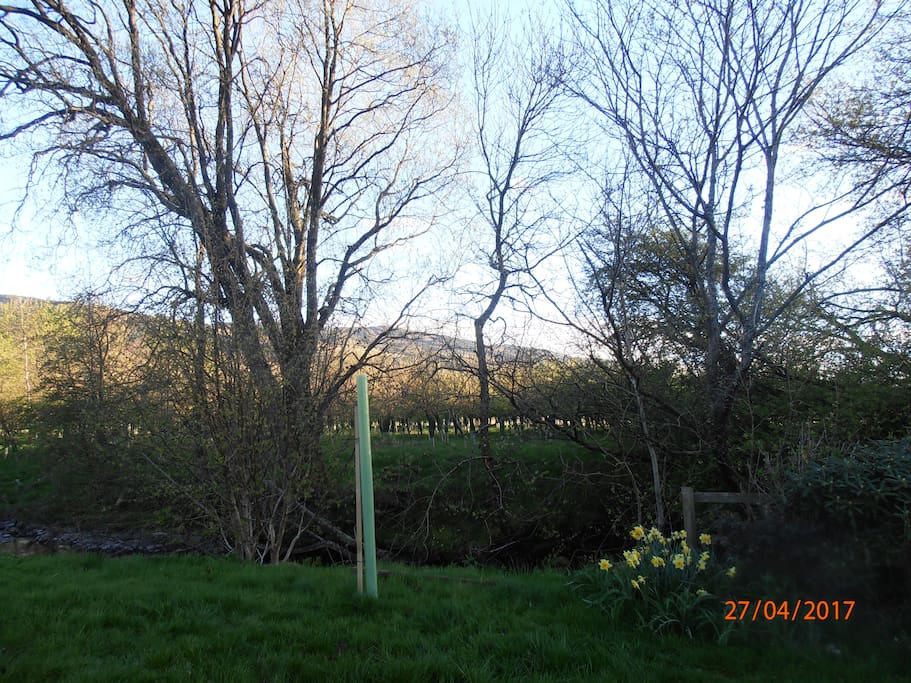 View from the French door, Burnside Cottage