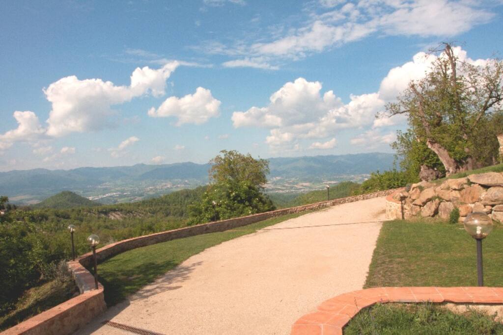 Vista