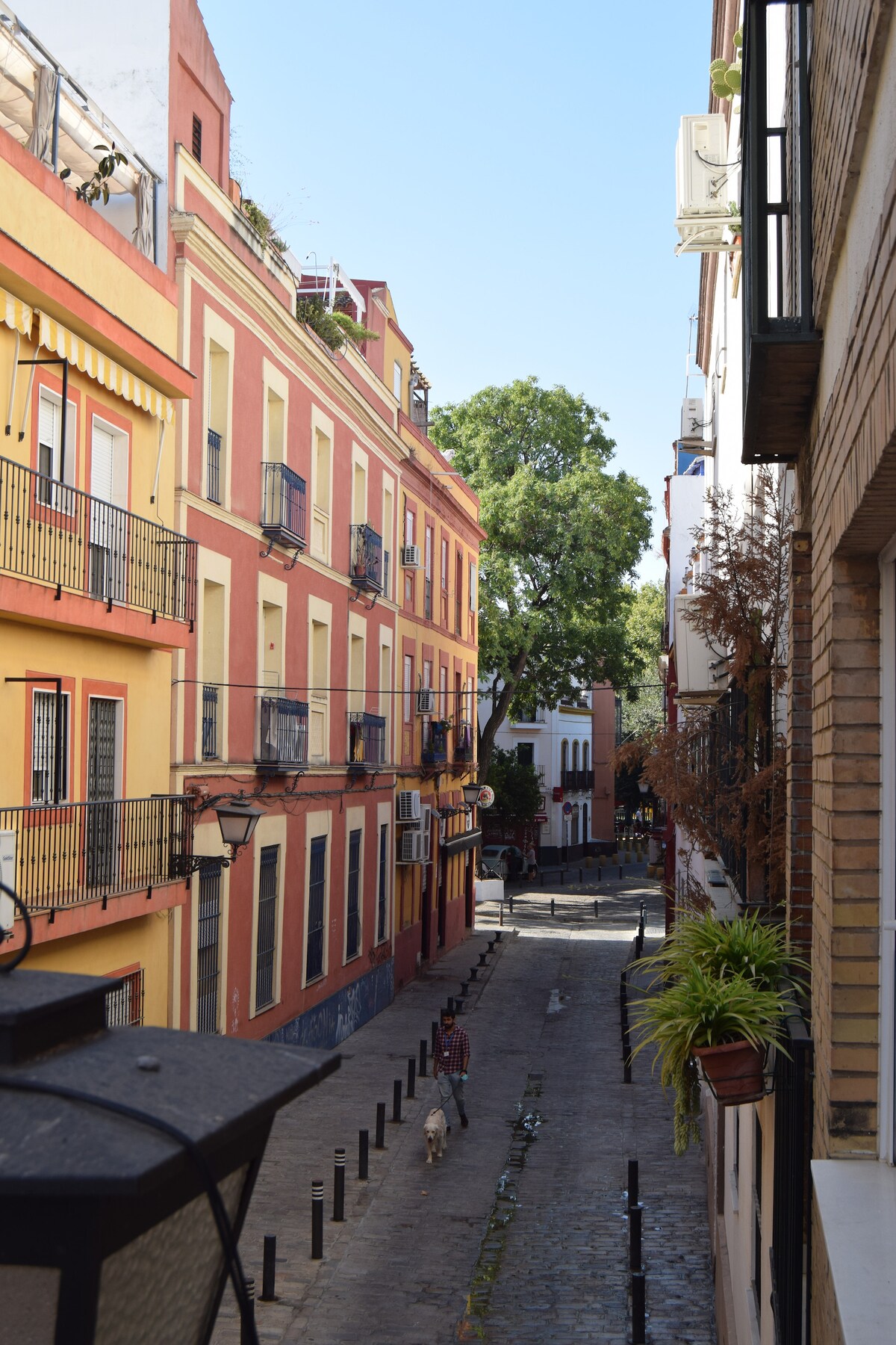 A quiet street is visible, lined with colorful buildings featuring balconies adorned with plants. A tree provides shade along the walkway, and a narrow cobblestone road extends into the distance, enhancing the charming urban atmosphere.
