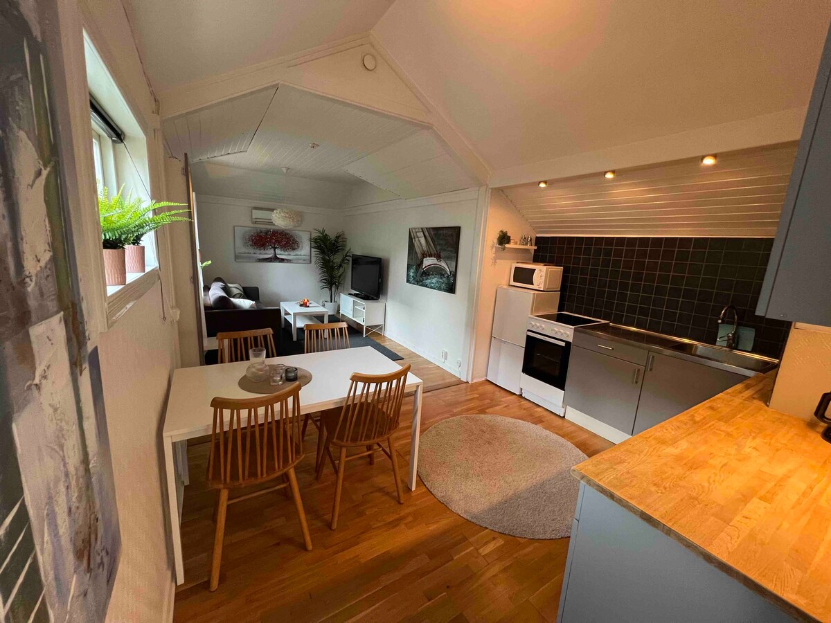 An open-plan living area is depicted, featuring a dining table with four wooden chairs beside a cozy seating area and a television. A modern kitchen showcases sleek cabinetry, new appliances, and wood accents, while a soft area rug anchors the space.