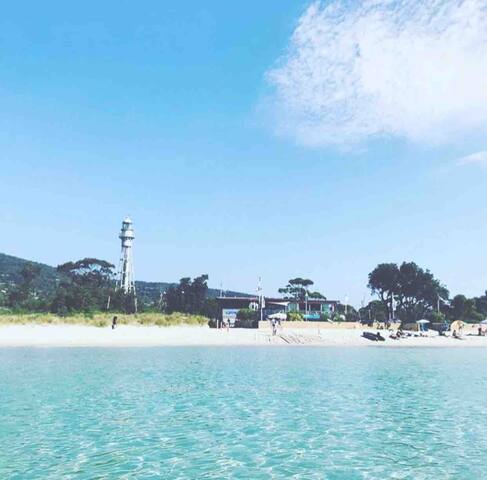 McCrae Beach, Sleeps 9, water views, renovated gallery image 3