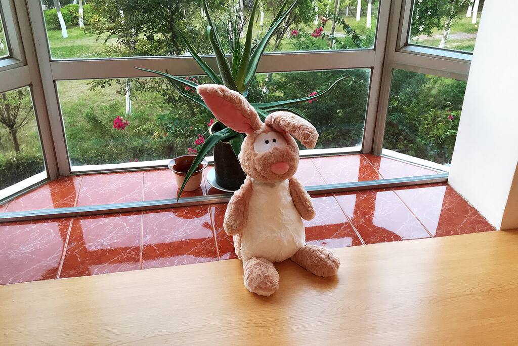 傻萌粉兔子在Pink房负责陪睡陪发呆~