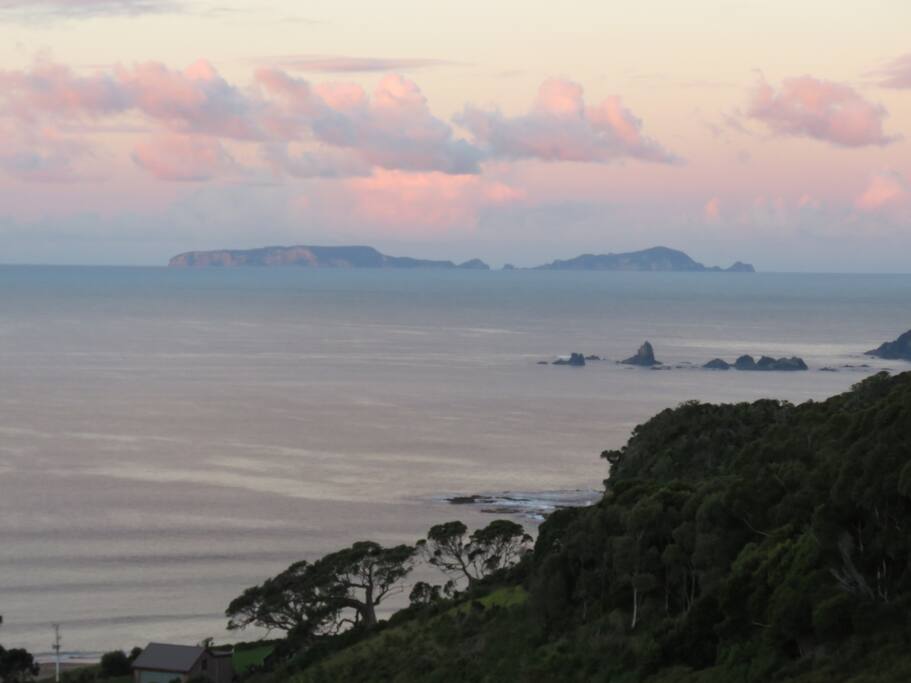 Poor Knights Marine Reserve, Moureeses Bay