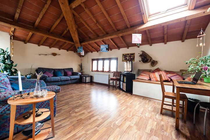Private room in relaxing apartment!