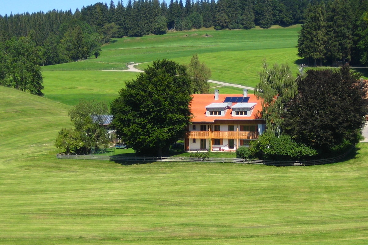A spacious two-story house is framed by lush green fields and trees. The property features solar panels on the roof. A winding path leads through the surrounding landscape, offering a sense of tranquility and connection to nature.