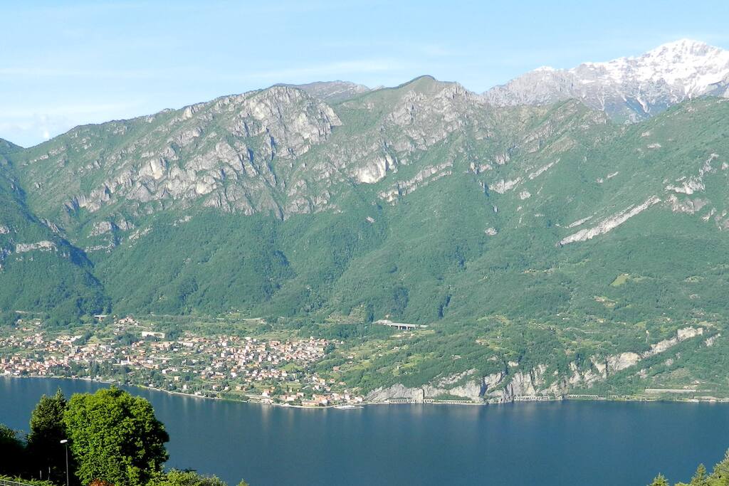 view