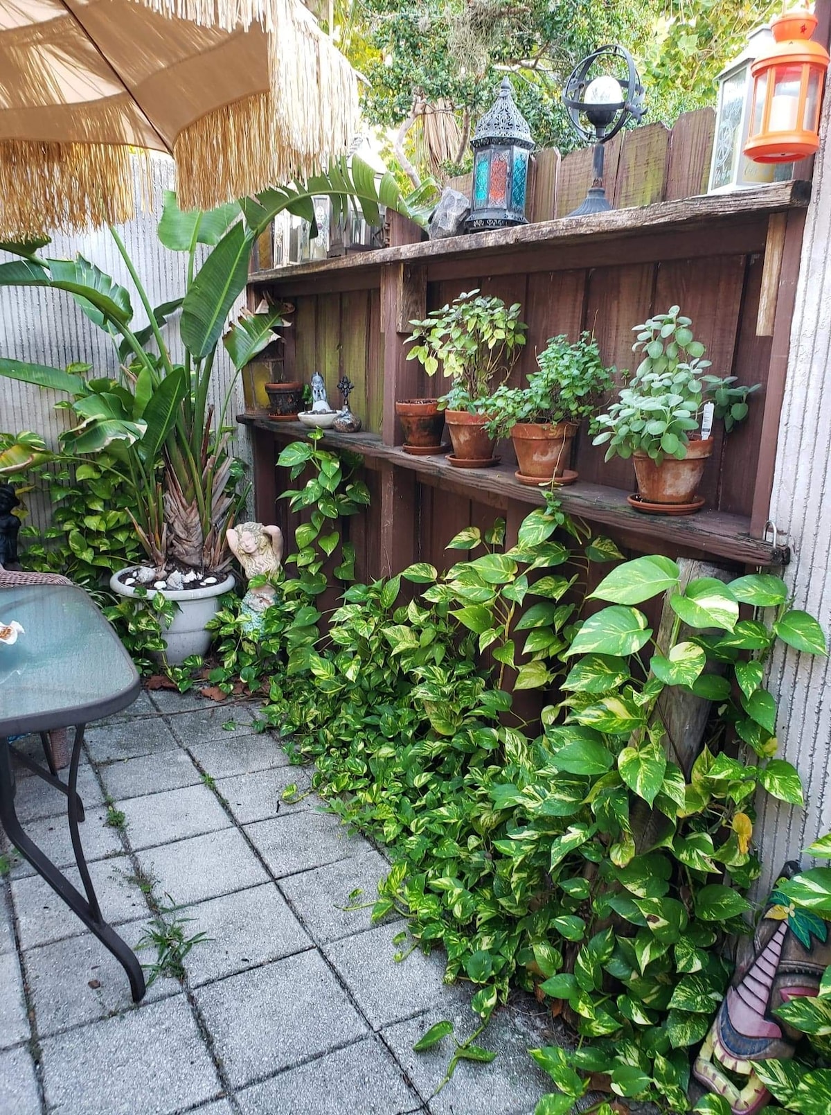 A secluded corner of the backyard features a wooden shelf adorned with potted plants, alongside lush green foliage. A stone patio is visible, complemented by a gentle arrangement of natural elements, creating a tranquil outdoor space for relaxation.