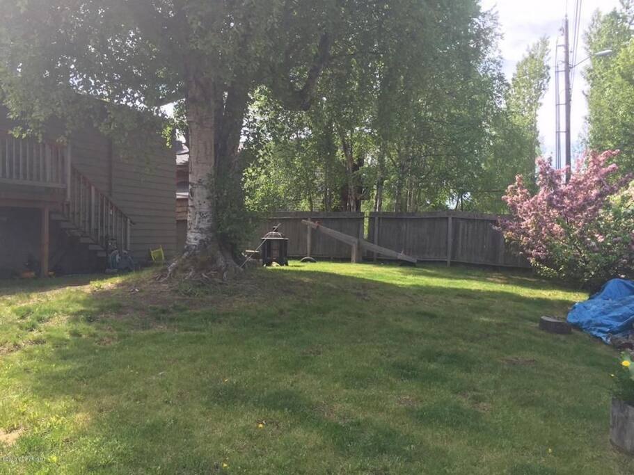 Big open yard with fire pit.